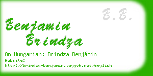 benjamin brindza business card