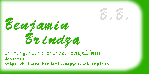 benjamin brindza business card